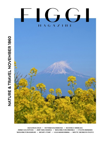 FIGGI MAGAZINE - NATURE & TRAVEL NOVEMBER (Vol 1860), page 1