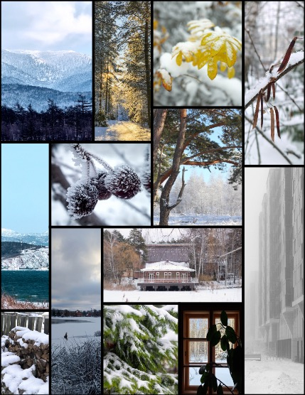 MARIKA MAGAZINE NATURE & TRAVELS (ISSUE 5527 - FEBRUARY), page 3
