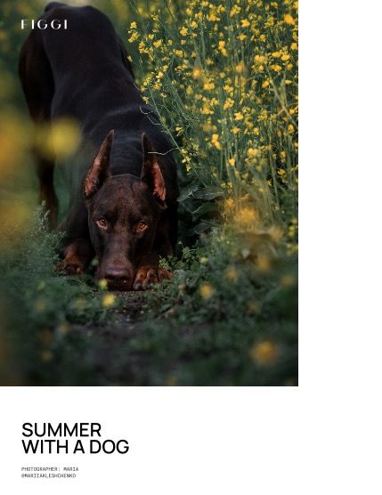 Фиджи, журнал. Милые питомцы, август, выпуск 2237 (FIGGI MAGAZINE - LOVELY PETS AUGUST (Vol 2237)), page 4