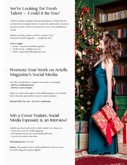 ARTELLS MAGAZINE - CHRISTMAS JANUARY (Vol 3789), page 3