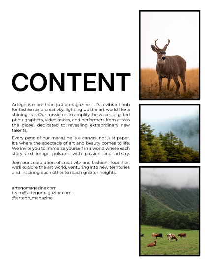 ARTEGO MAGAZINE - NATURE & TRAVELS FEBRUARY ISSUE 1210, page 2