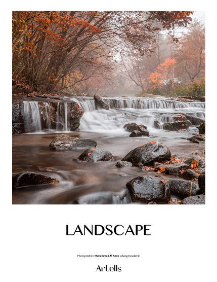 ARTELLS MAGAZINE - NATURE & TRAVELS MARCH (Vol 3038), page 4