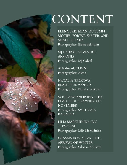 Bold & Beyond Nature (Issue 625 November 2025), page 2