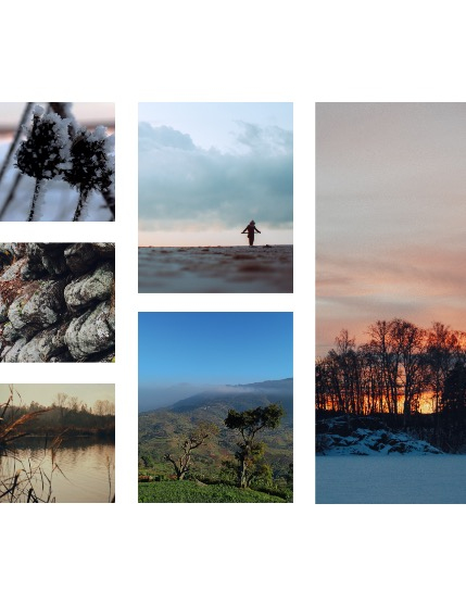 FIGGI MAGAZINE - NATURE & TRAVEL FEBRUARY (Vol 1991), page 2