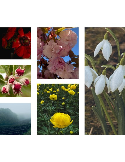 FIGGI MAGAZINE - NATURE & TRAVEL MAY (Vol 1535), page 2
