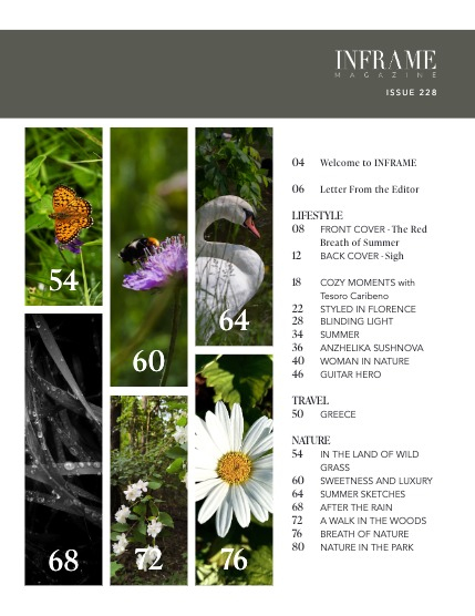 Issue 228 - Lifestyle, Travel and Nature Edition - July 2025, page 3