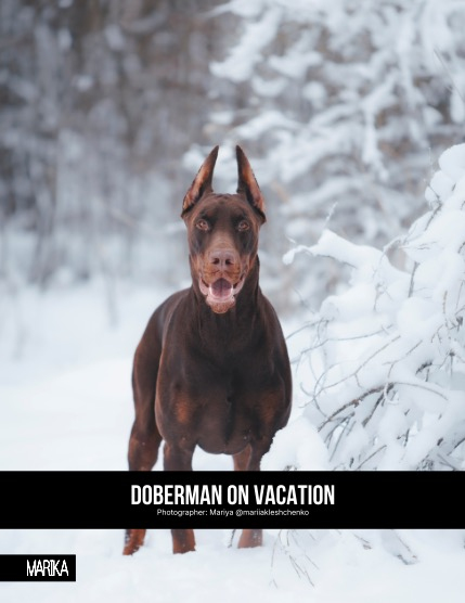 MARIKA MAGAZINE NATURE & TRAVELS (ISSUE 6116 - JANUARY), page 4