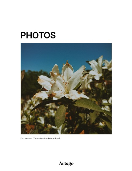 ARTEGO MAGAZINE - NATURE & TRAVELS APRIL ISSUE 792, page 4