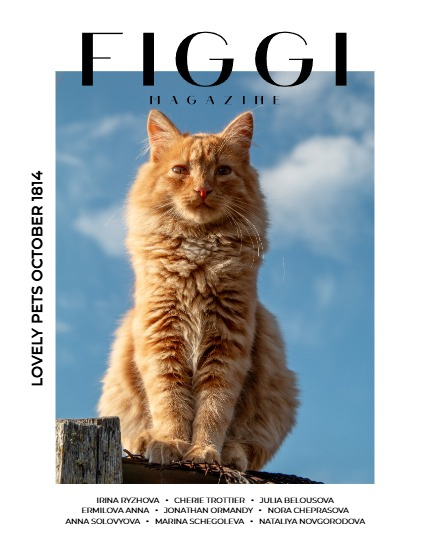 FIGGI MAGAZINE - LOVELY PETS OCTOBER (Vol 1814), page 1