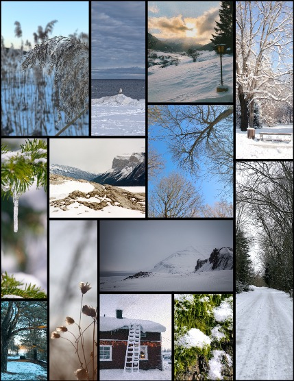 MARIKA MAGAZINE NATURE & TRAVELS (ISSUE 5576 - MARCH), page 3
