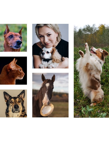 FIGGI MAGAZINE - LOVELY PETS FEBRUARY (Vol 1986), page 2