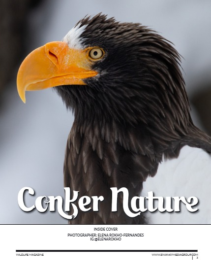 Conker Nature Magazine - March 2025: The Wildlife Edition, page 2