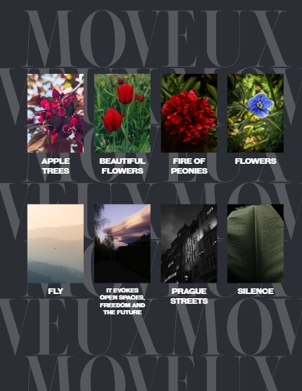MOVEUX Magazine SUMMER 2026 Digital Issue 3, page 4