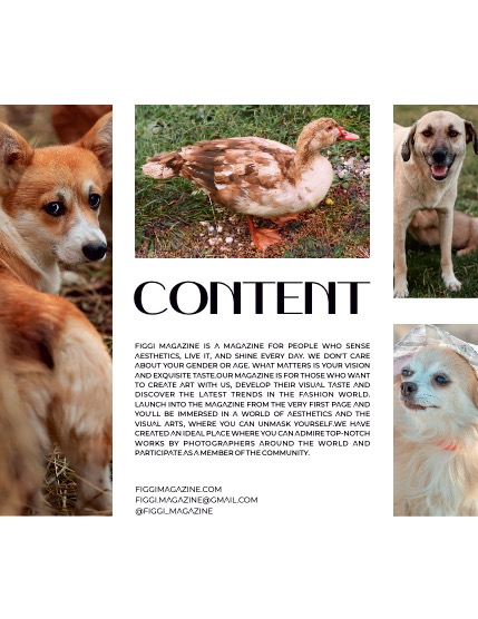 FIGGI MAGAZINE - LOVELY PETS OCTOBER (Vol 1192), page 3