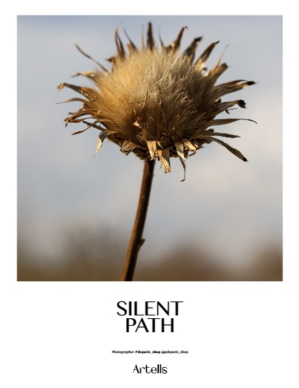 ARTELLS MAGAZINE - NATURE & TRAVELS AUGUST (Vol 3477), page 4