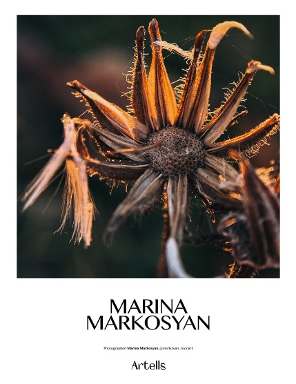 ARTELLS MAGAZINE - NATURE & TRAVELS MARCH (Vol 3039), page 4