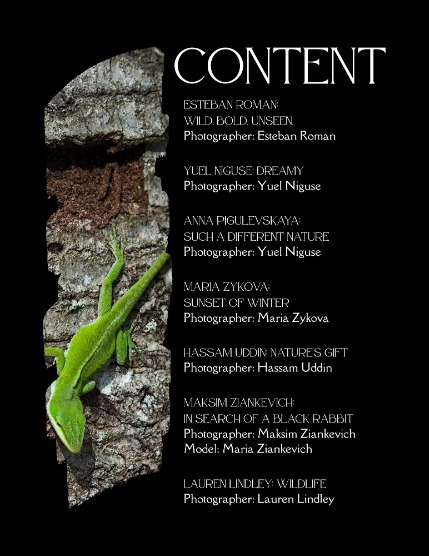 Bold & Beyond Nature (Issue 308 May 2025), page 2