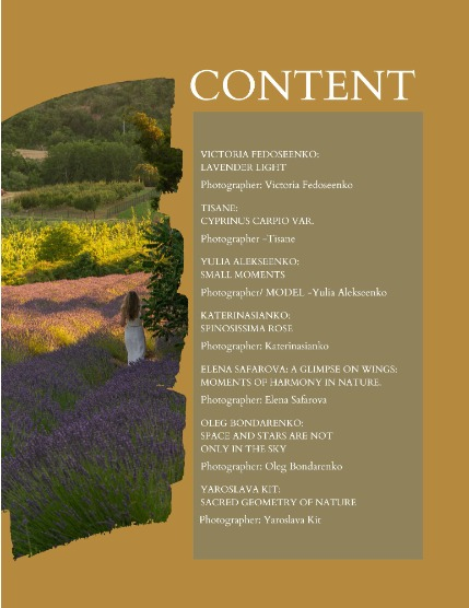 Bold & Beyond Nature (Issue 382 July 2025), page 2