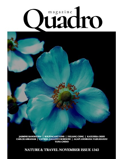 QUADRO MAGAZINE - NATURE & ANIMALS NOVEMBER (Vol 1343), page 1