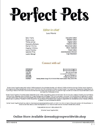 Perfect Pets Magazine - April 2025: The Pet Pals Issue, page 3