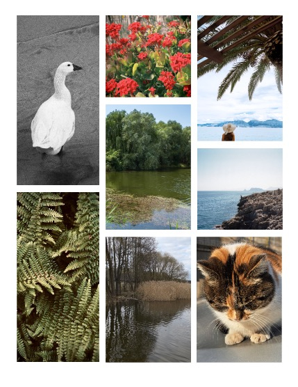 ARTEGO MAGAZINE - NATURE & TRAVELS APRIL ISSUE 795, page 3