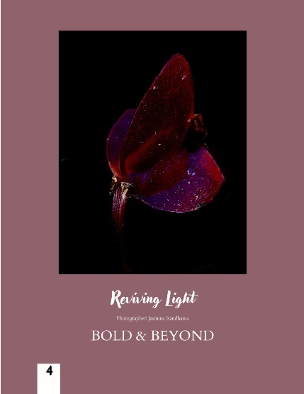 Bold & Beyond Nature (Issue 468 August 2025), page 4