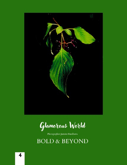 Bold & Beyond Nature (Issue 576 October 2025), page 4