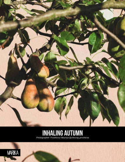 MARIKA MAGAZINE NATURE & TRAVELS (ISSUE 6018 - NOVEMBER), page 4