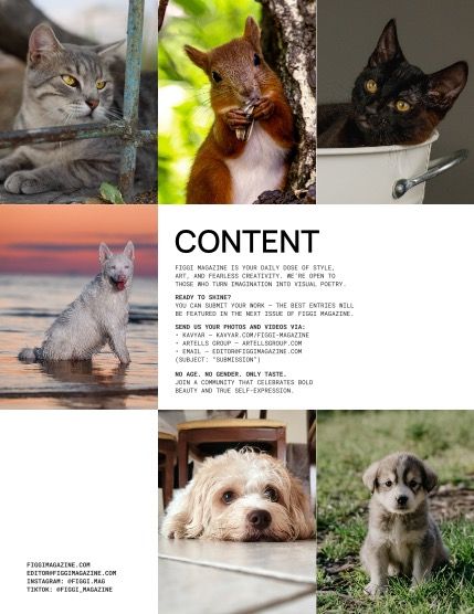 Фиджи, журнал. Милые питомцы, сентябрь, выпуск 2270 (FIGGI MAGAZINE - LOVELY PETS SEPTEMBER (Vol 2270)), page 2