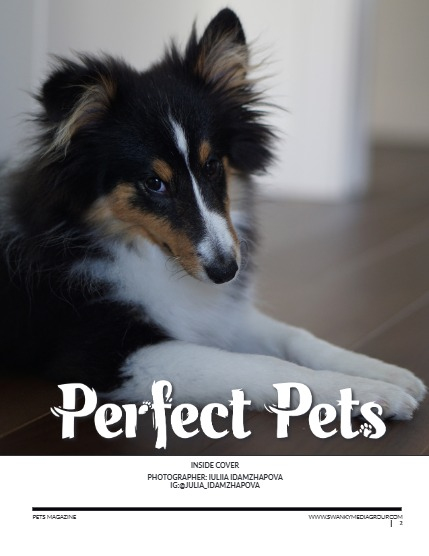 Perfect Pets March Issue 2025, page 2