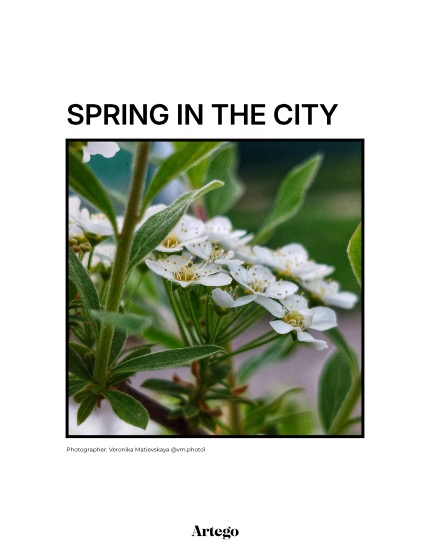 ARTEGO MAGAZINE - NATURE & TRAVELS JUNE ISSUE 871, page 4
