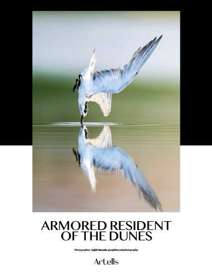 ARTELLS MAGAZINE - NATURE & TRAVELS JUNE (Vol 4100), page 4