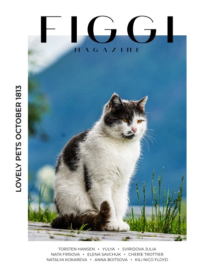 FIGGI MAGAZINE - LOVELY PETS OCTOBER (Vol 1813), page 1