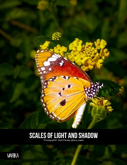 MARIKA MAGAZINE NATURE & TRAVELS (ISSUE 6080 - DECEMBER), page 4