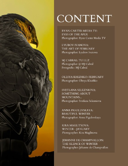 Bold & Beyond Nature (Issue 733 February 2026), page 2