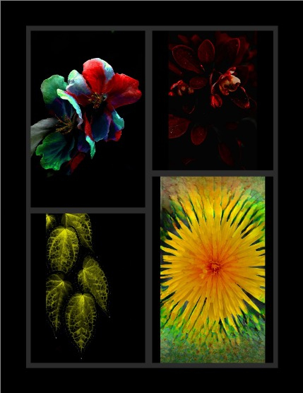 Bold & Beyond Nature (Issue 352 June 2025), page 3