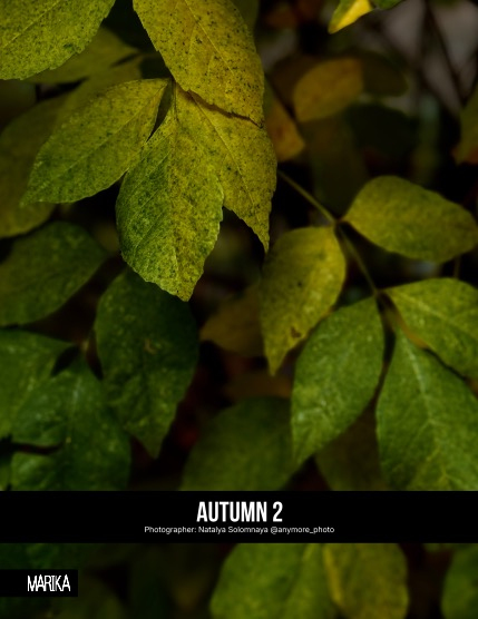 MARIKA MAGAZINE NATURE & TRAVELS (ISSUE 5949 - OCTOBER), page 4