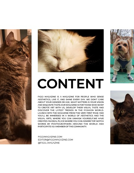FIGGI MAGAZINE - LOVELY PETS APRIL (Vol 1487), page 3