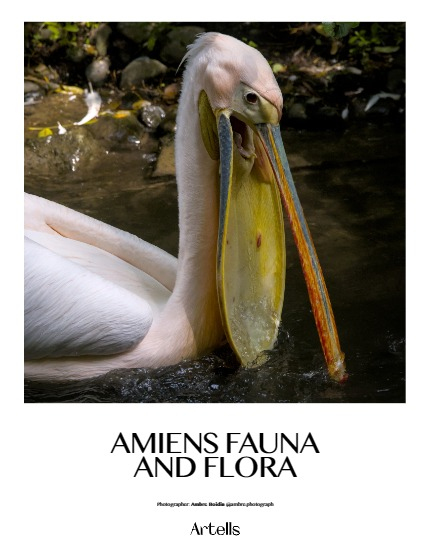ARTELLS MAGAZINE - NATURE & TRAVELS JULY (Vol 3373), page 4