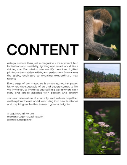 ARTEGO MAGAZINE - NATURE & TRAVELS NOVEMBER ISSUE 1112, page 2