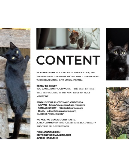 FIGGI MAGAZINE - LOVELY PETS NOVEMBER (Vol 1877), page 3