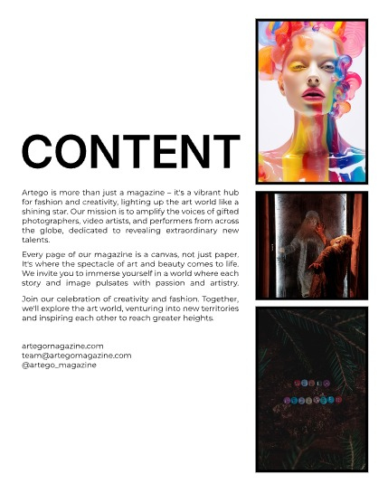ARTEGO MAGAZINE -   FINE-ART & AI  DECEMBER ISSUE 1135, page 2