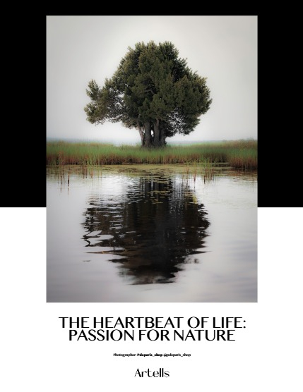 ARTELLS MAGAZINE - NATURE & TRAVELS JUNE (Vol 4101), page 4