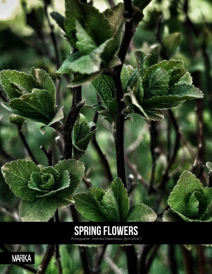 MARIKA MAGAZINE NATURE & TRAVELS (ISSUE 5726 - JUNE), page 4