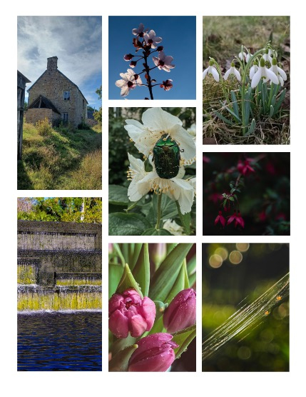 ARTEGO MAGAZINE - NATURE & TRAVELS APRIL ISSUE 789, page 3