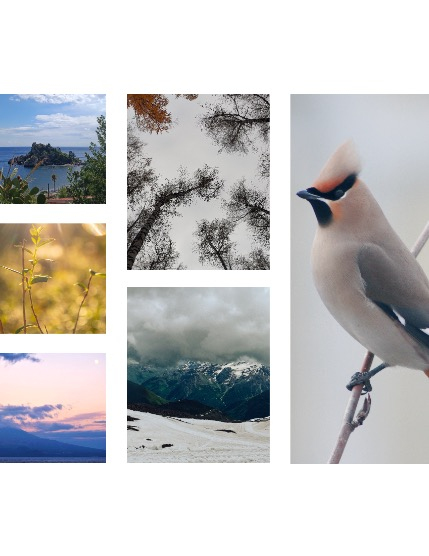 FIGGI MAGAZINE - NATURE & TRAVEL NOVEMBER (Vol 1861), page 2