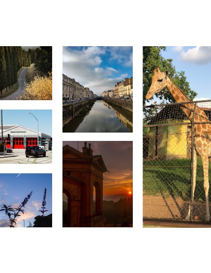 FIGGI MAGAZINE - NATURE & TRAVEL MAY (Vol 1539), page 2