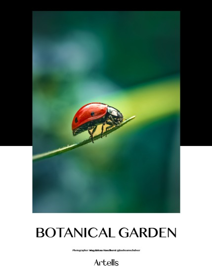 ARTELLS MAGAZINE - NATURE & TRAVELS MAY (Vol 3181), page 4