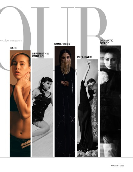 VIGOUR MAGAZINE OPEN THEME | January 2025 | Issue 01, page 3