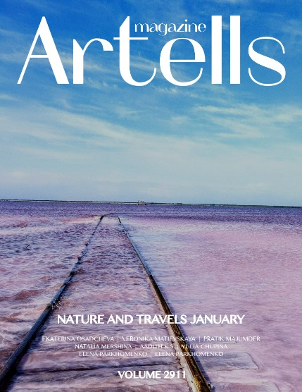 ARTELLS MAGAZINE - NATURE & TRAVELS JANUARY (Vol 2911), page 1